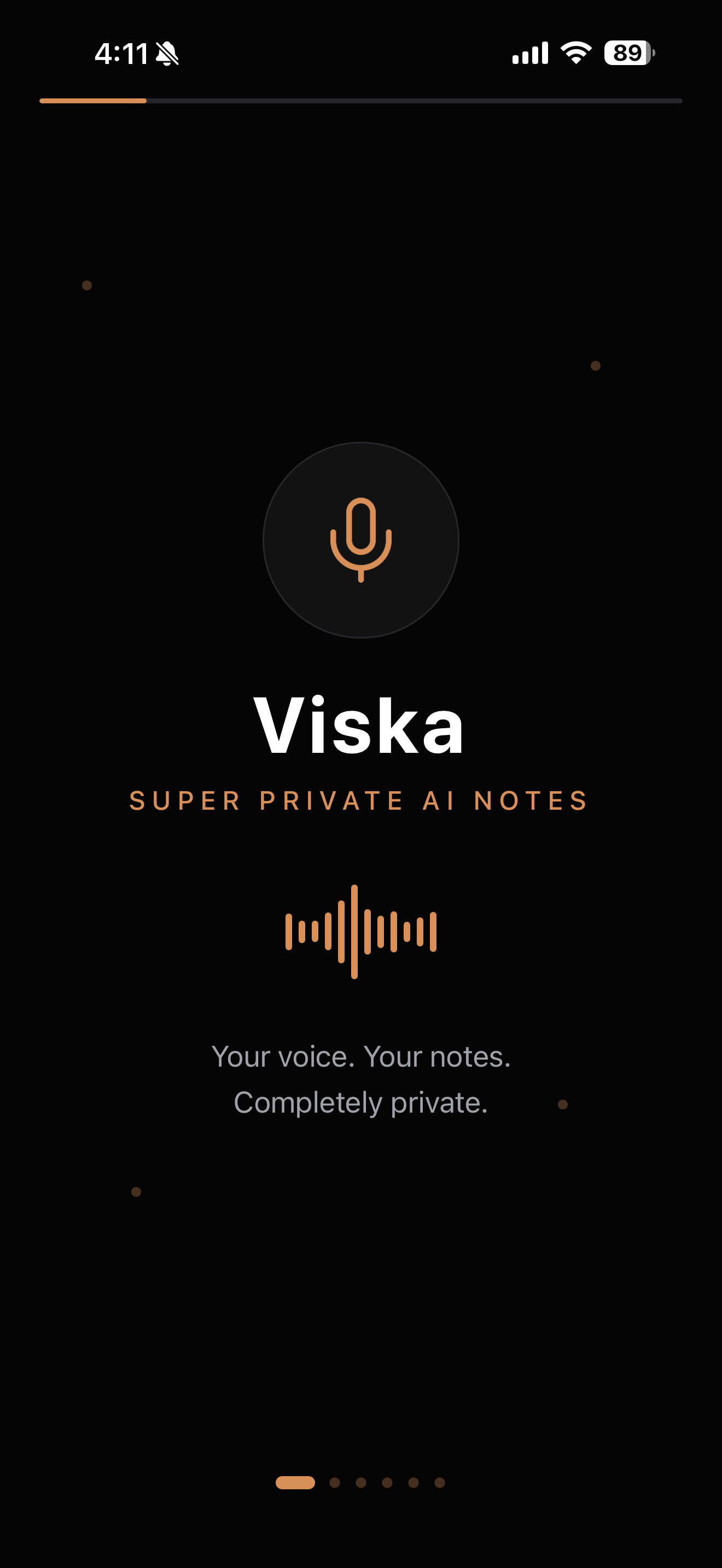 Viska: Private AI Meeting Notes gallery image
