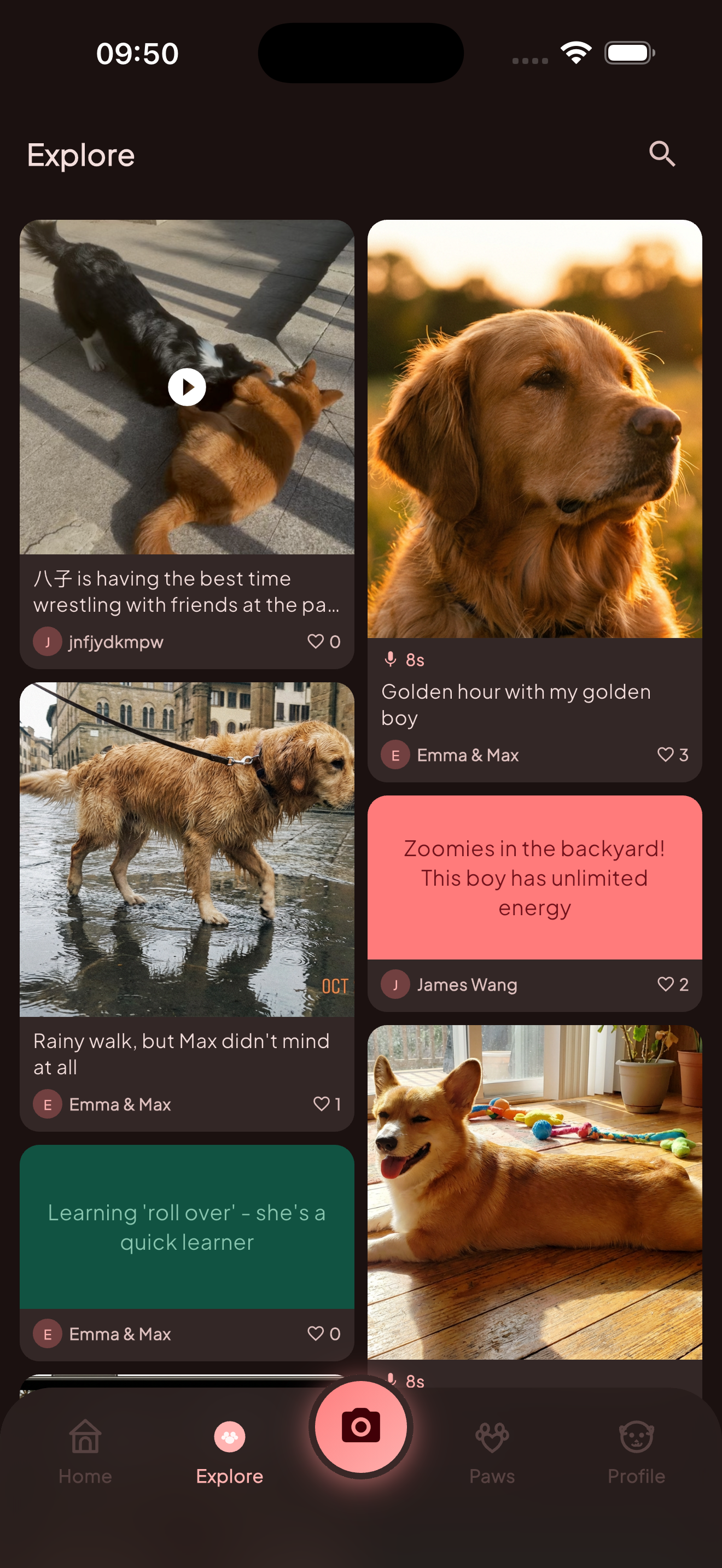 DogJoy gallery image
