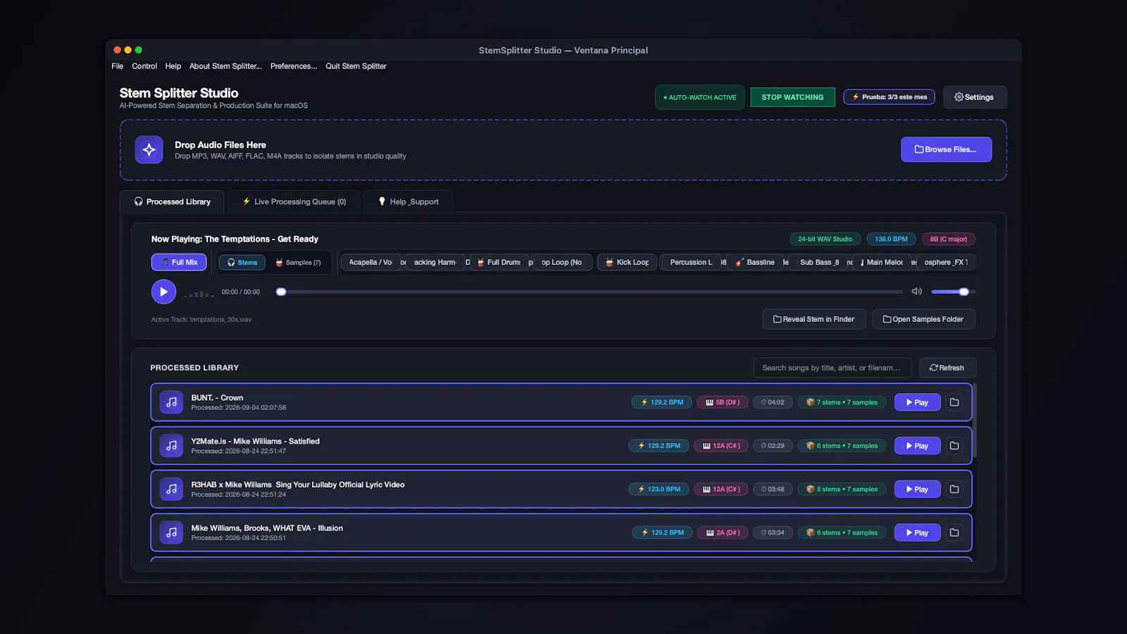 StemSplitter Studio screenshot 1
