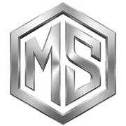 MemoryStore.in logo