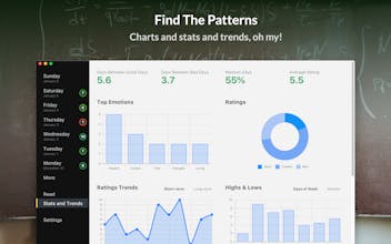 Grapefruit gallery image