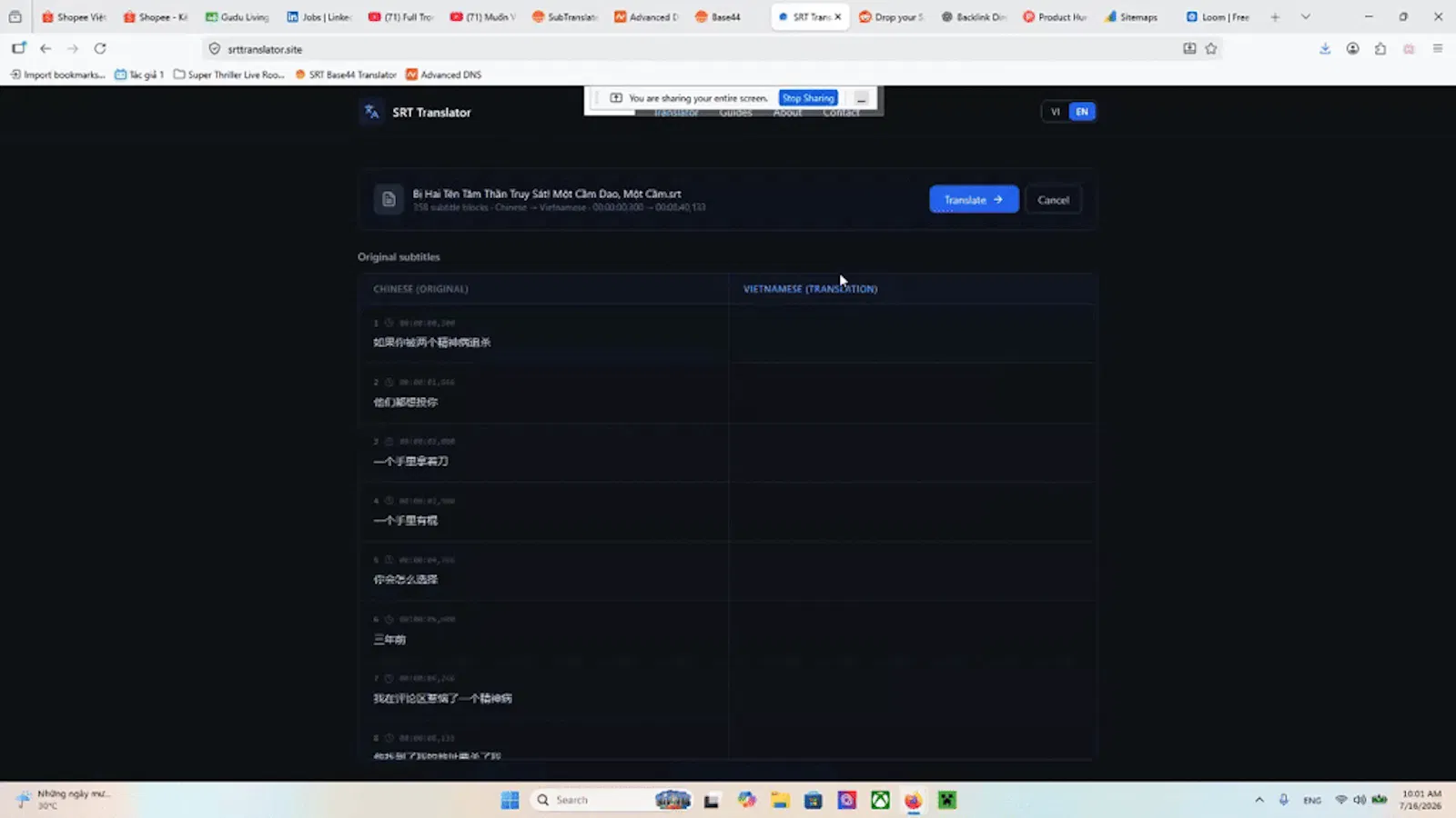 SRT Context-Aware Translator screenshot 1 (video preview)