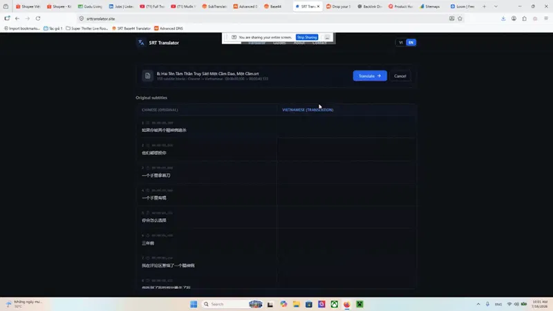 SRT Context-Aware Translator screenshot 1 (video preview)