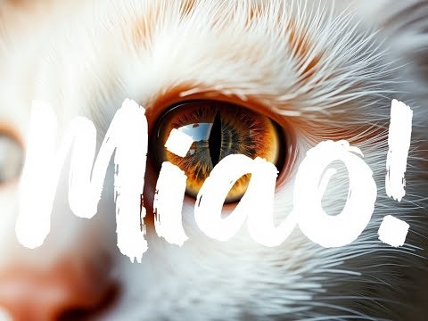 Super Miao AI gallery image