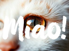 Super Miao AI gallery image