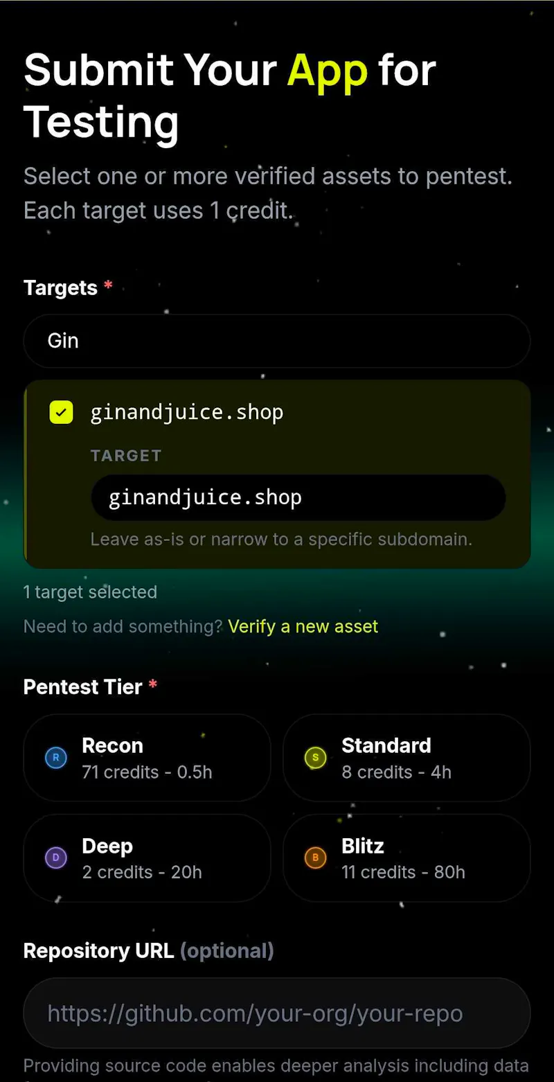 TurboPentest screenshot 3