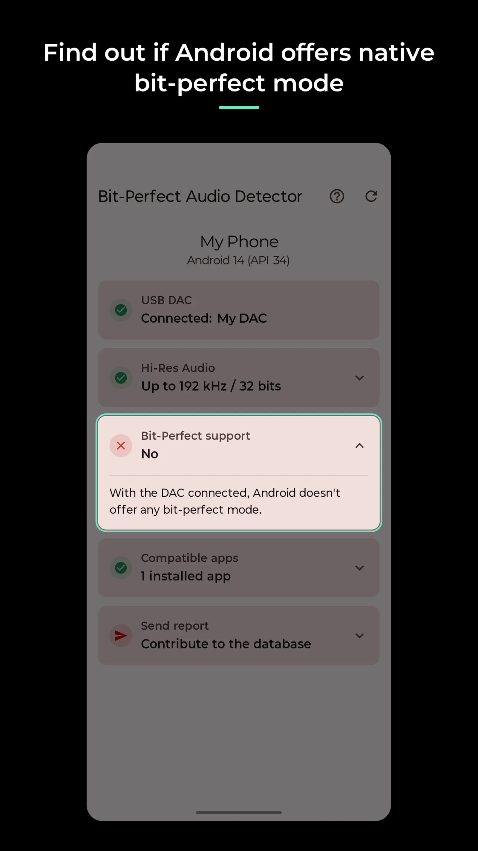 Bit-Perfect Audio Detector screenshot 4