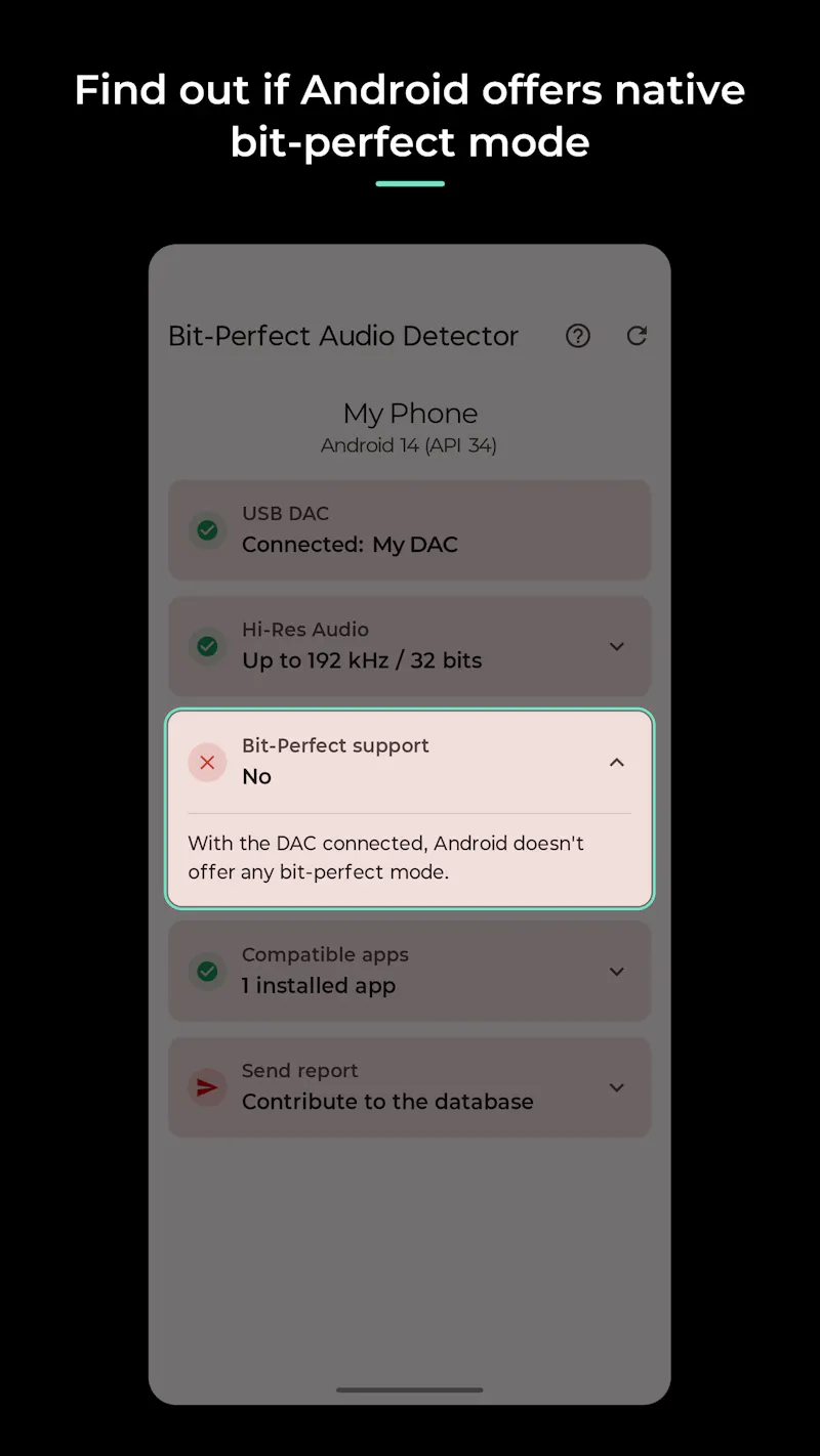 Bit-Perfect Audio Detector screenshot 4