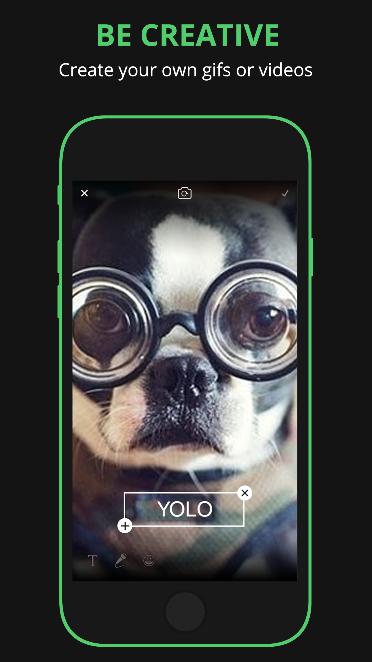 GIF Out Loud gallery image