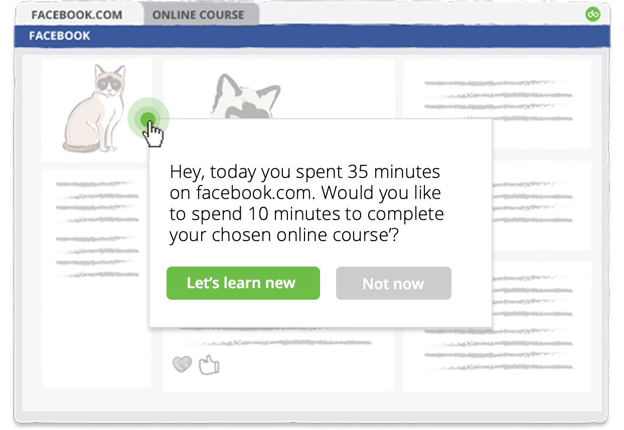 do useful gallery image