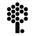 Steve Jobs Archive