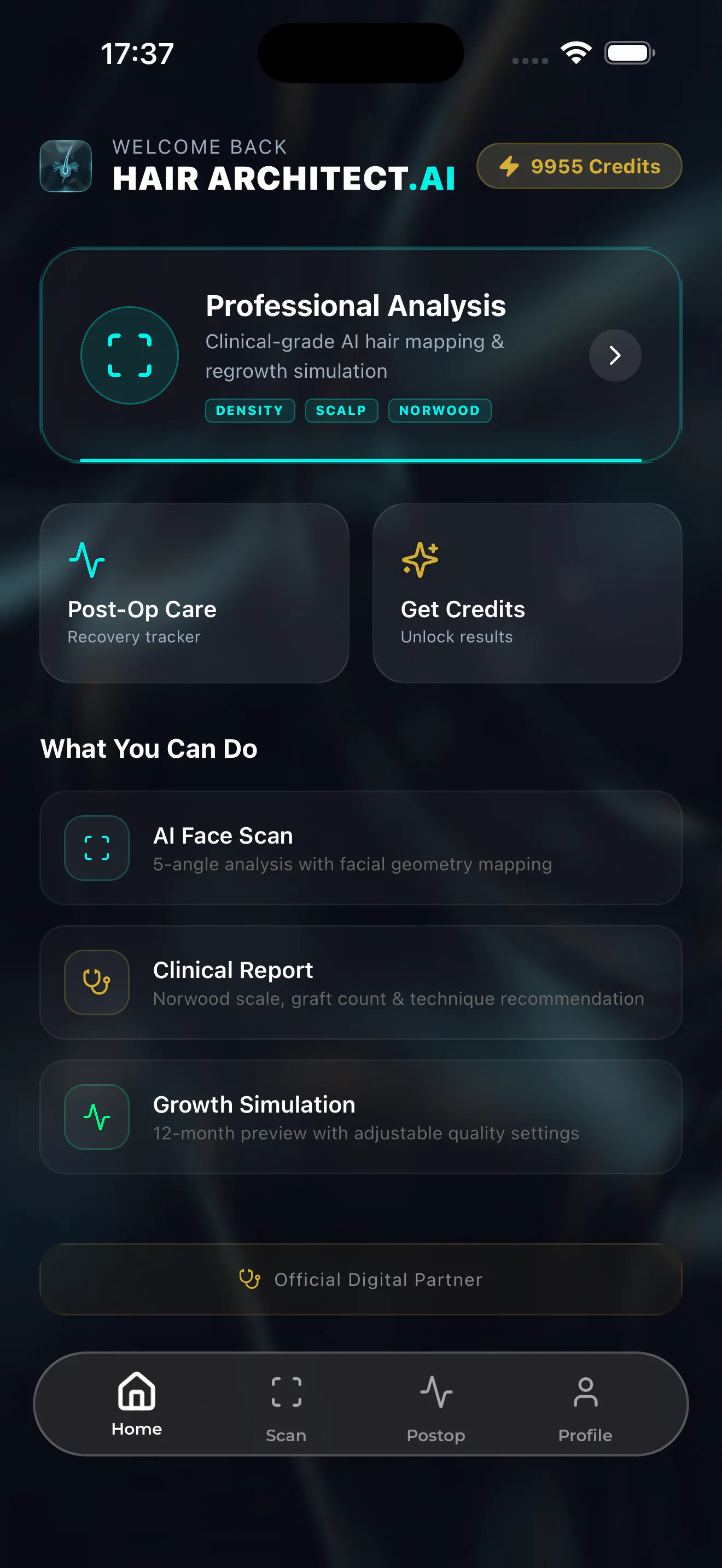 HairArchitect: AI Transplant gallery image