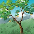 Bitcoin Tree