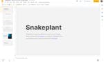 Snakeplant image
