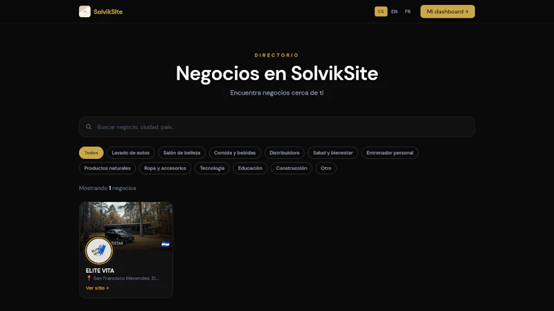 SolvikSite screenshot 2