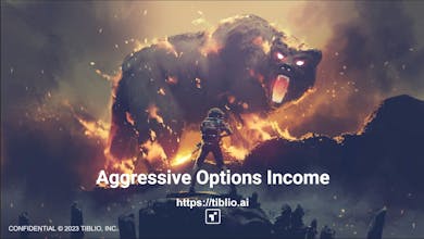 Tiblio AI gallery image