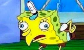 sPoNGeCaSe gallery image