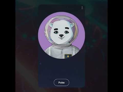 Bodacious Bears gallery image