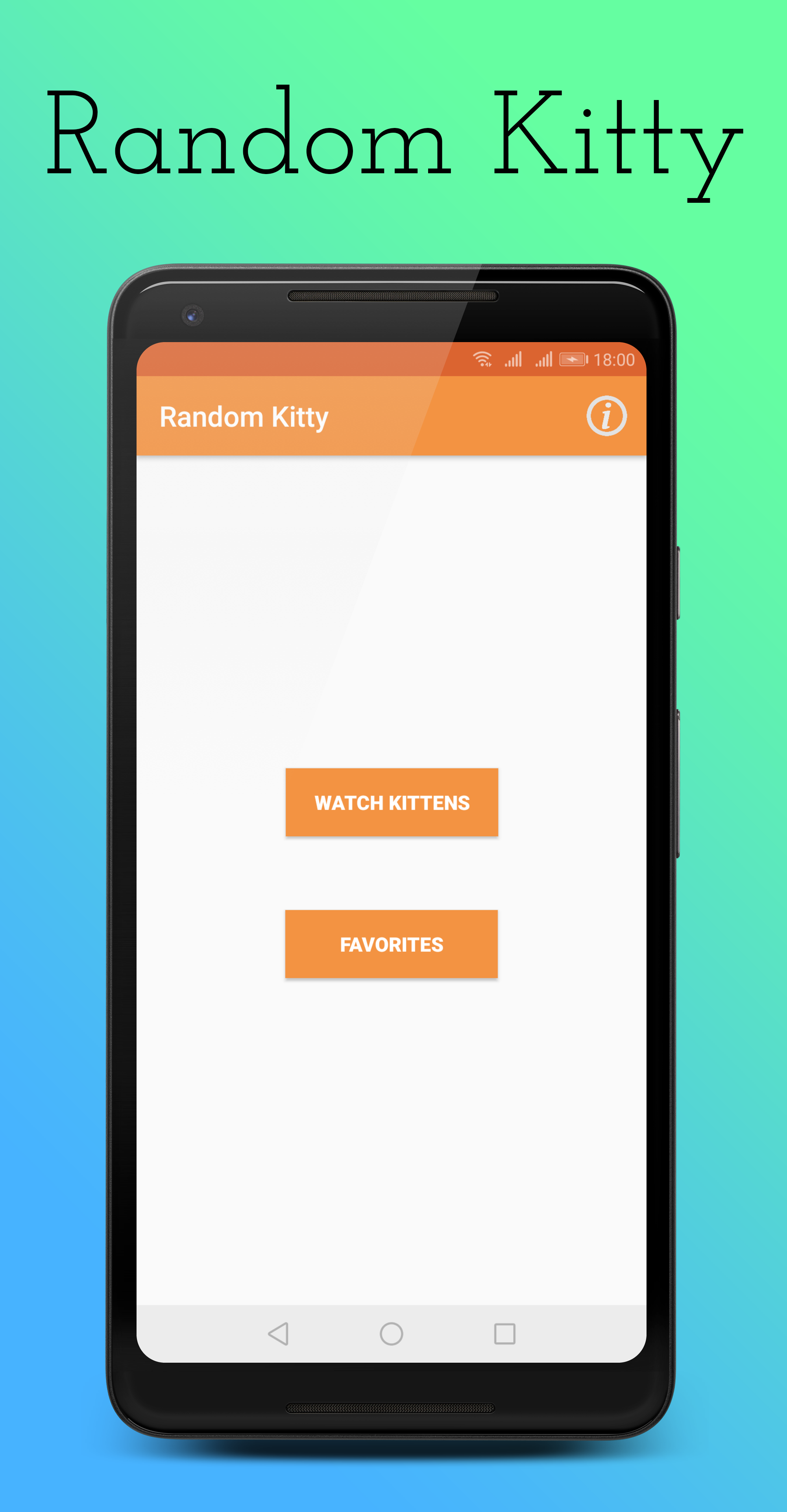 Random Kitty gallery image