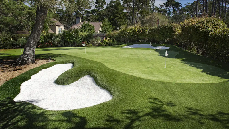 Back Nine Greens Palm Desert screenshot 1