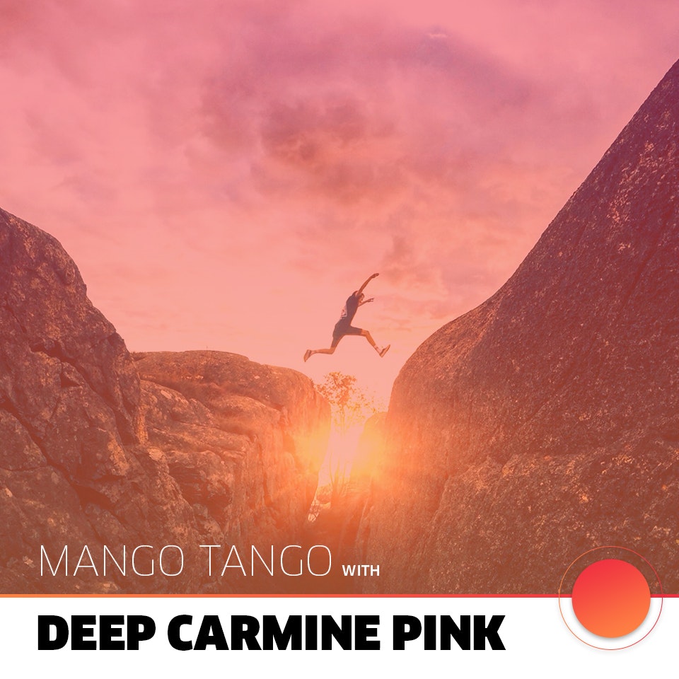 Tamarind Color gallery image