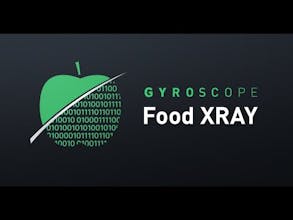Gyroscope Food XRAY gallery image