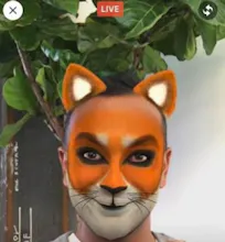 Facebook Masks gallery image
