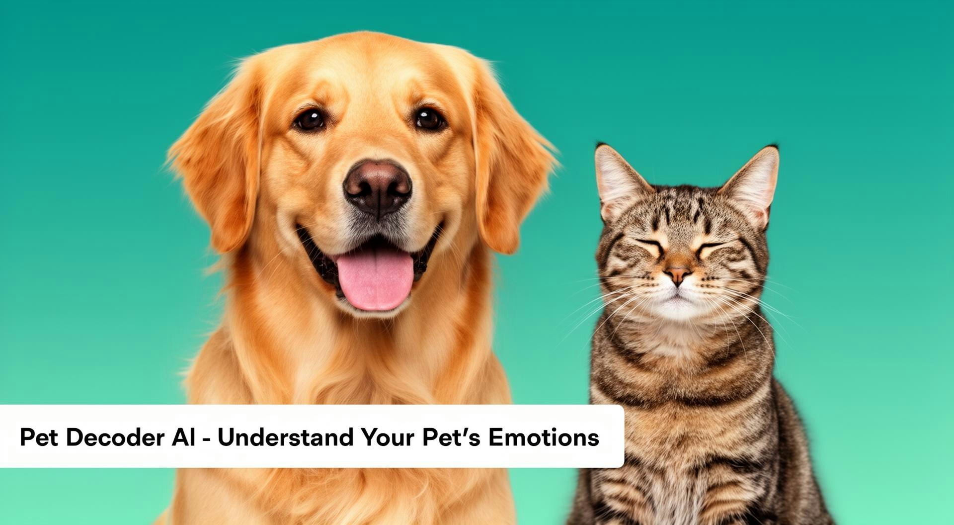 Pet Decoder AI - Main product screenshot demonstrating key features and user interface