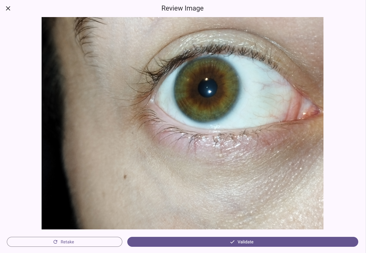 ArtedEye gallery image