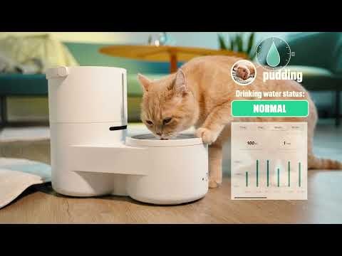 Drinkie gallery image