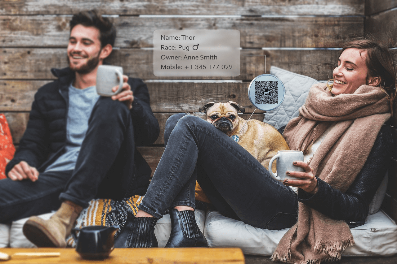 Inetpet gallery image