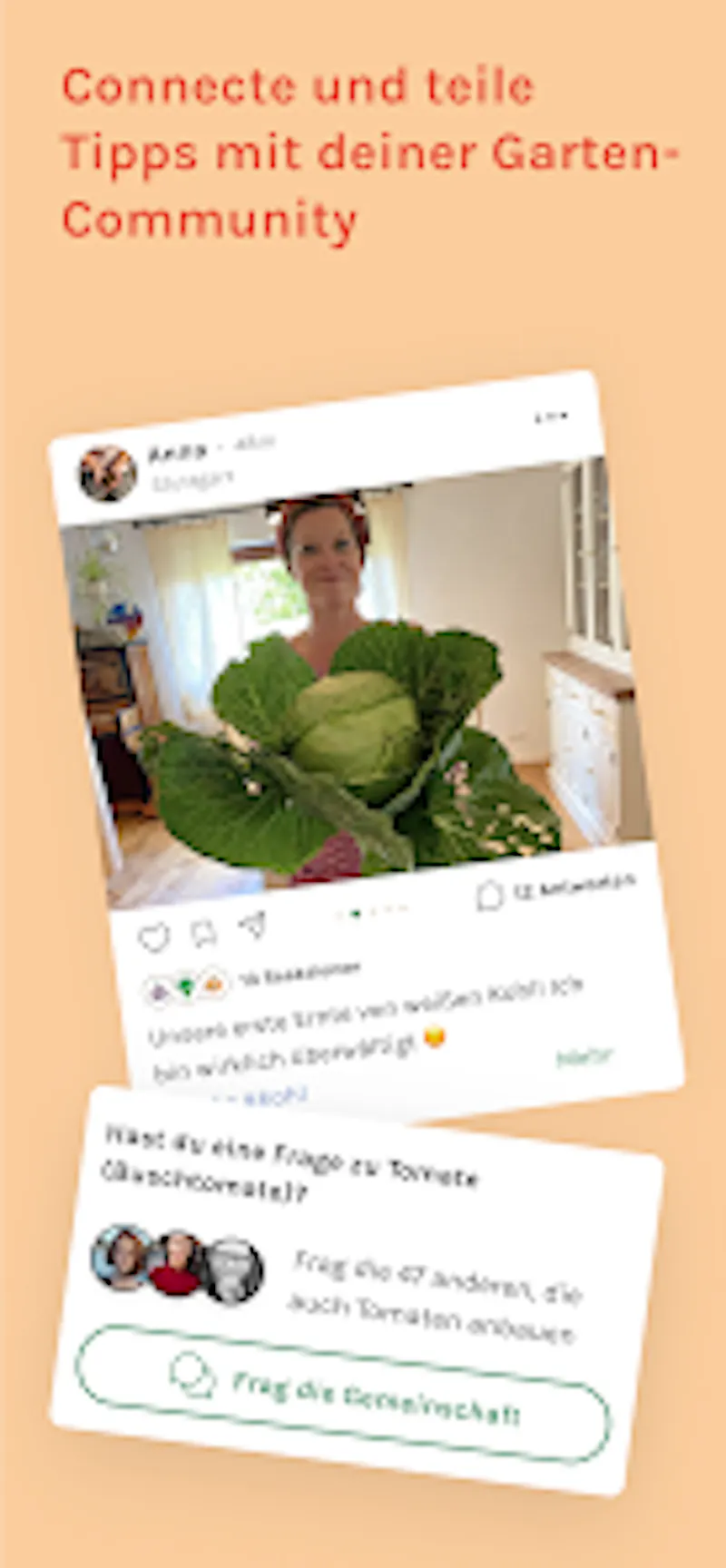 Alphabeet screenshot 4