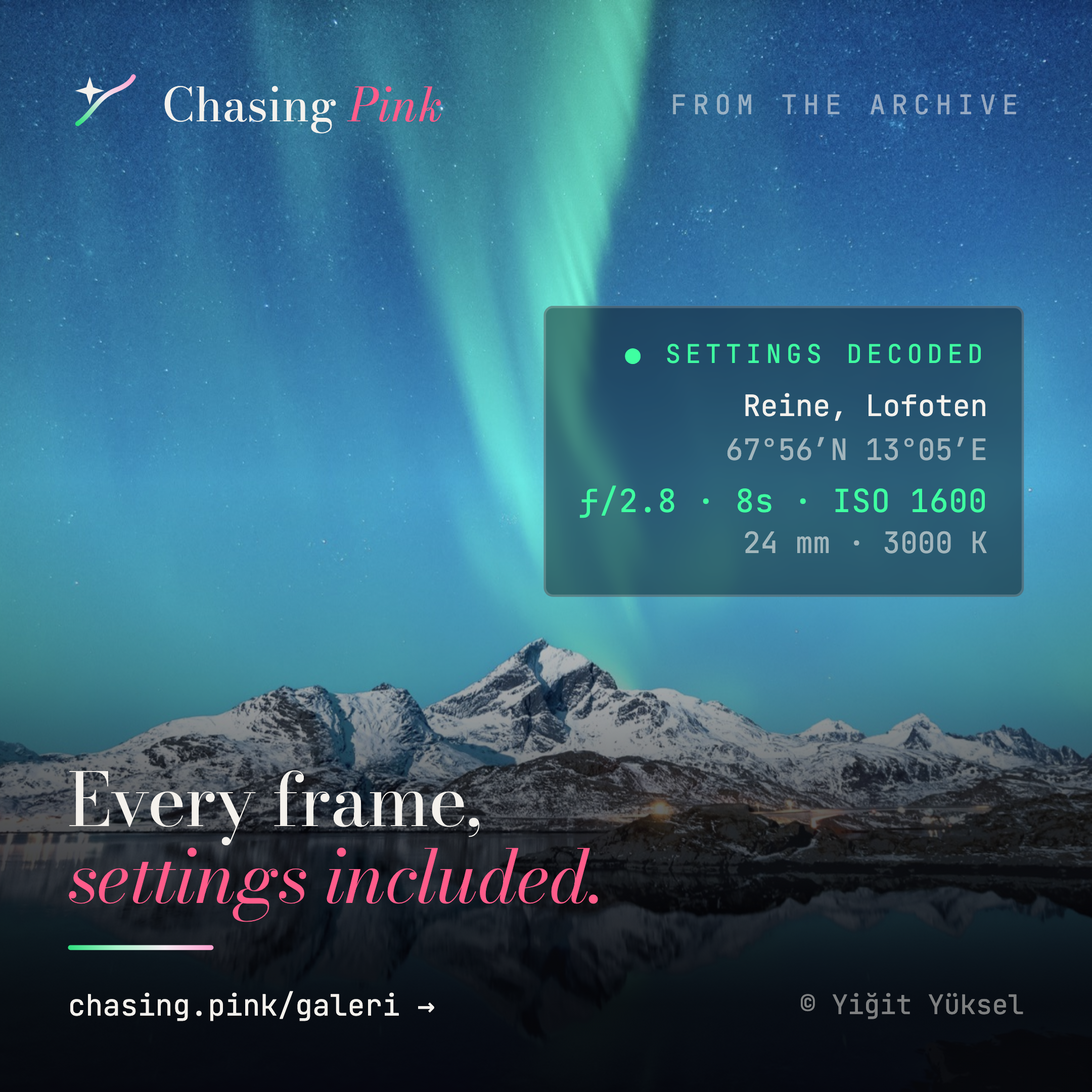 Chasing Pink gallery image