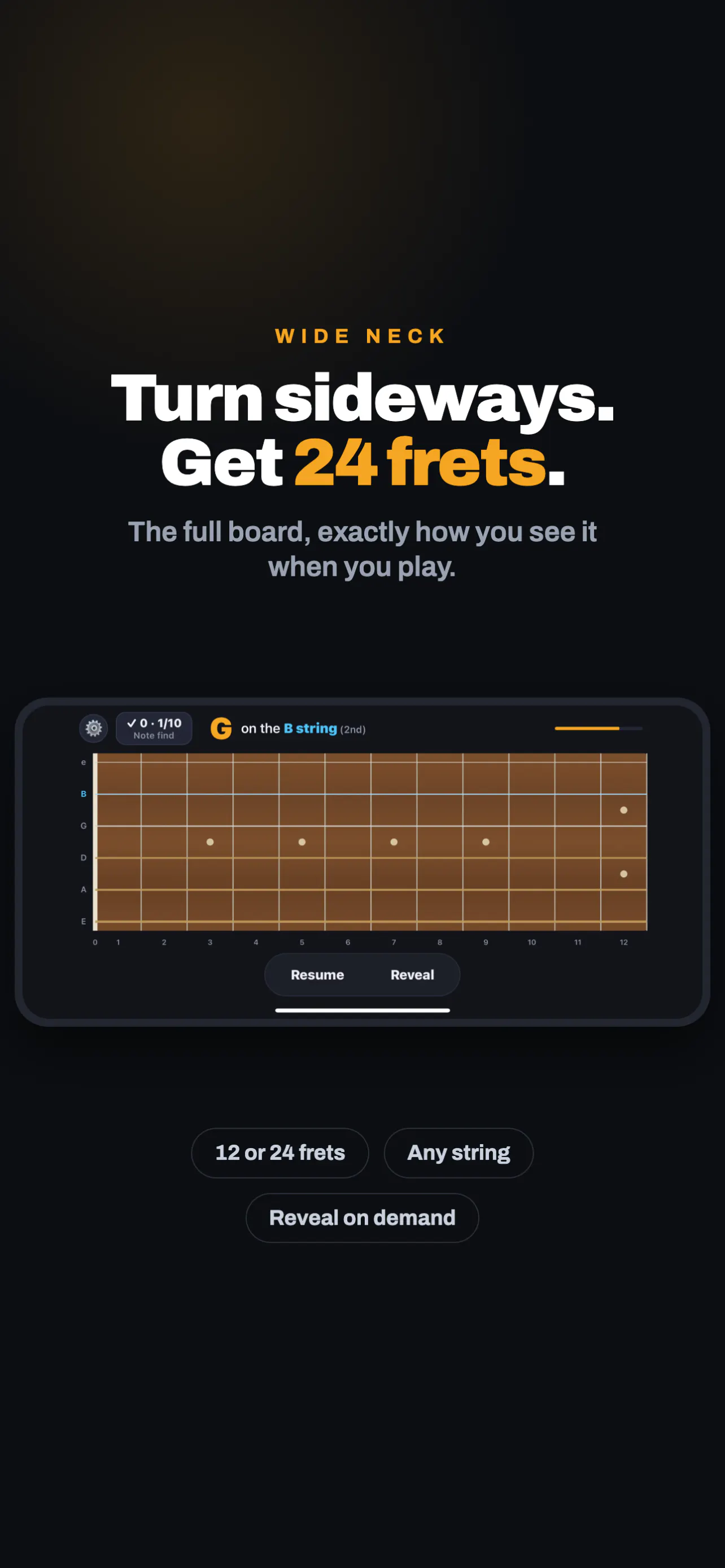 Fretboard King gallery image
