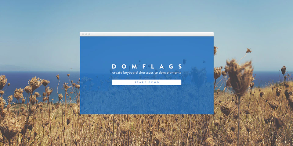 DomFlags