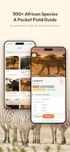 SafariLingo gallery image