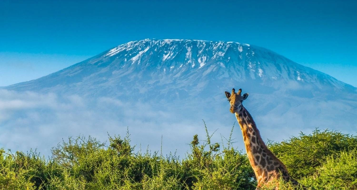 Africantrust Safari gallery image