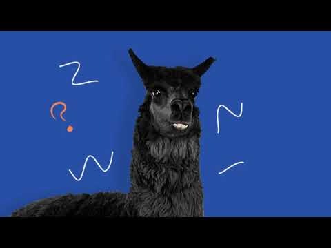 Landing Pages designer gallery image