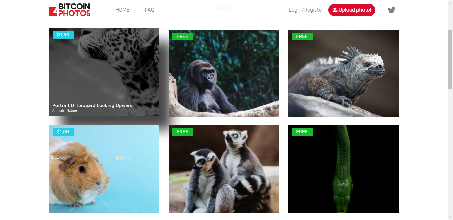 Bitcoin4Photos gallery image
