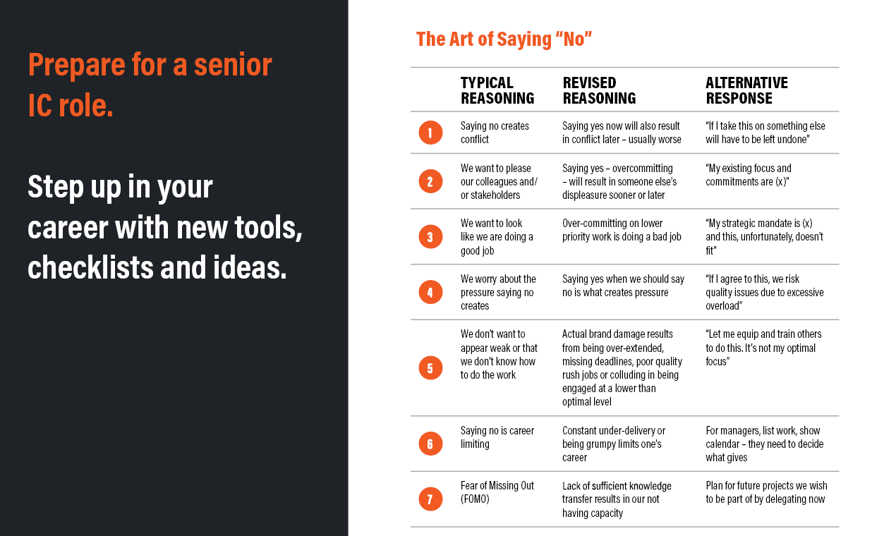 Master Expert gallery image