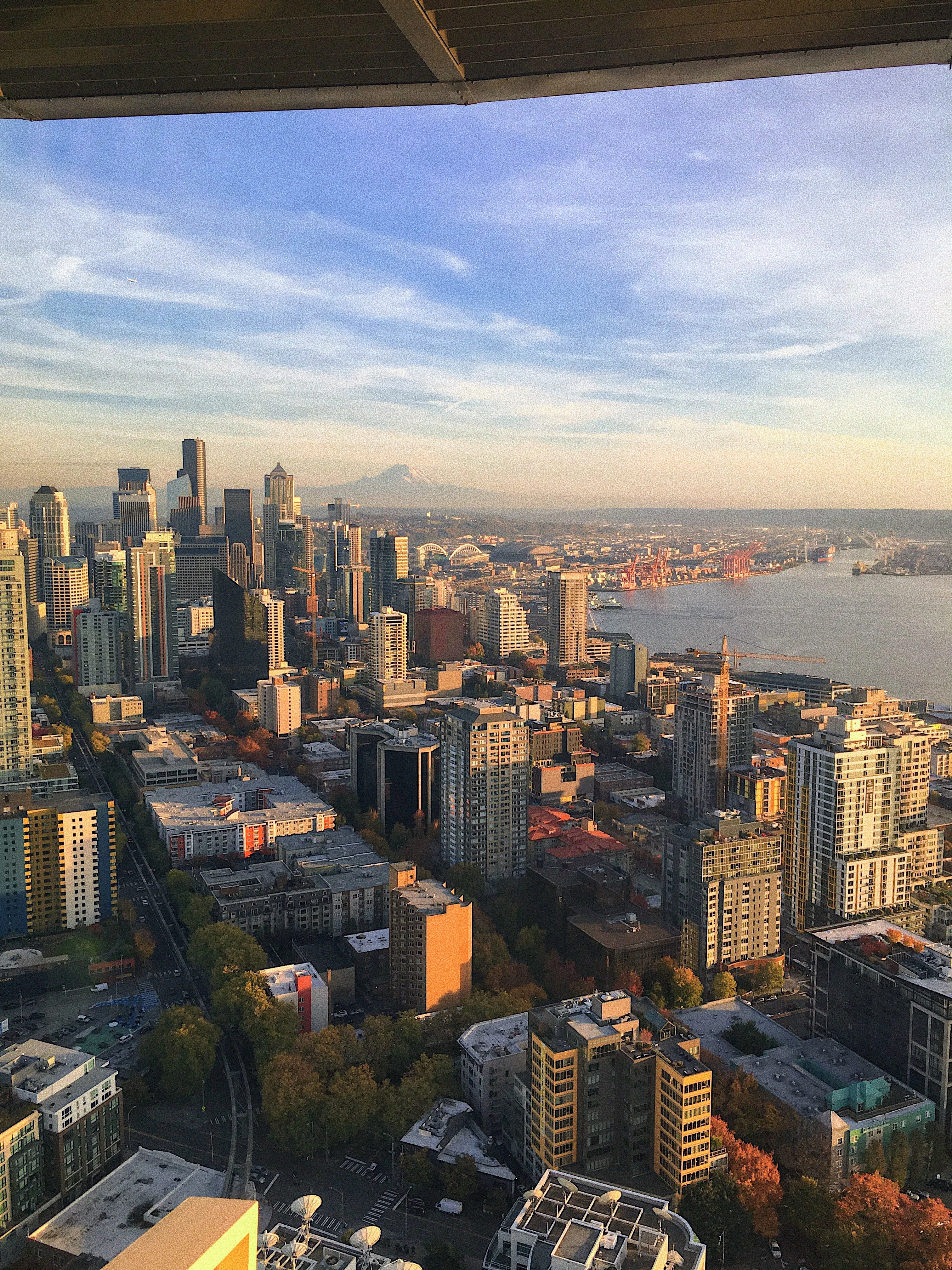 Anthony Dike 🌻🐝 cover