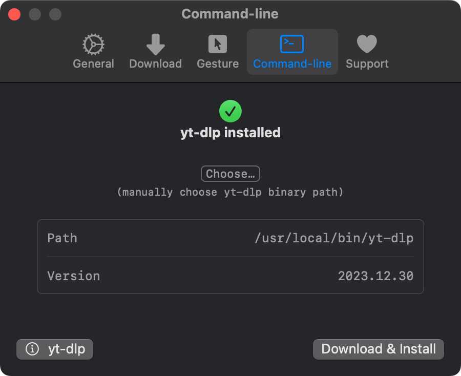 Dint-y2dl - MacOS YT-DLP GUI-app voor het downloaden van video media 2