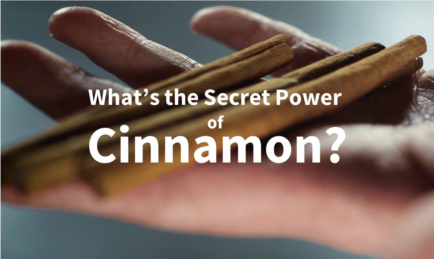 World's First Activewear with CINNAMON gallery image