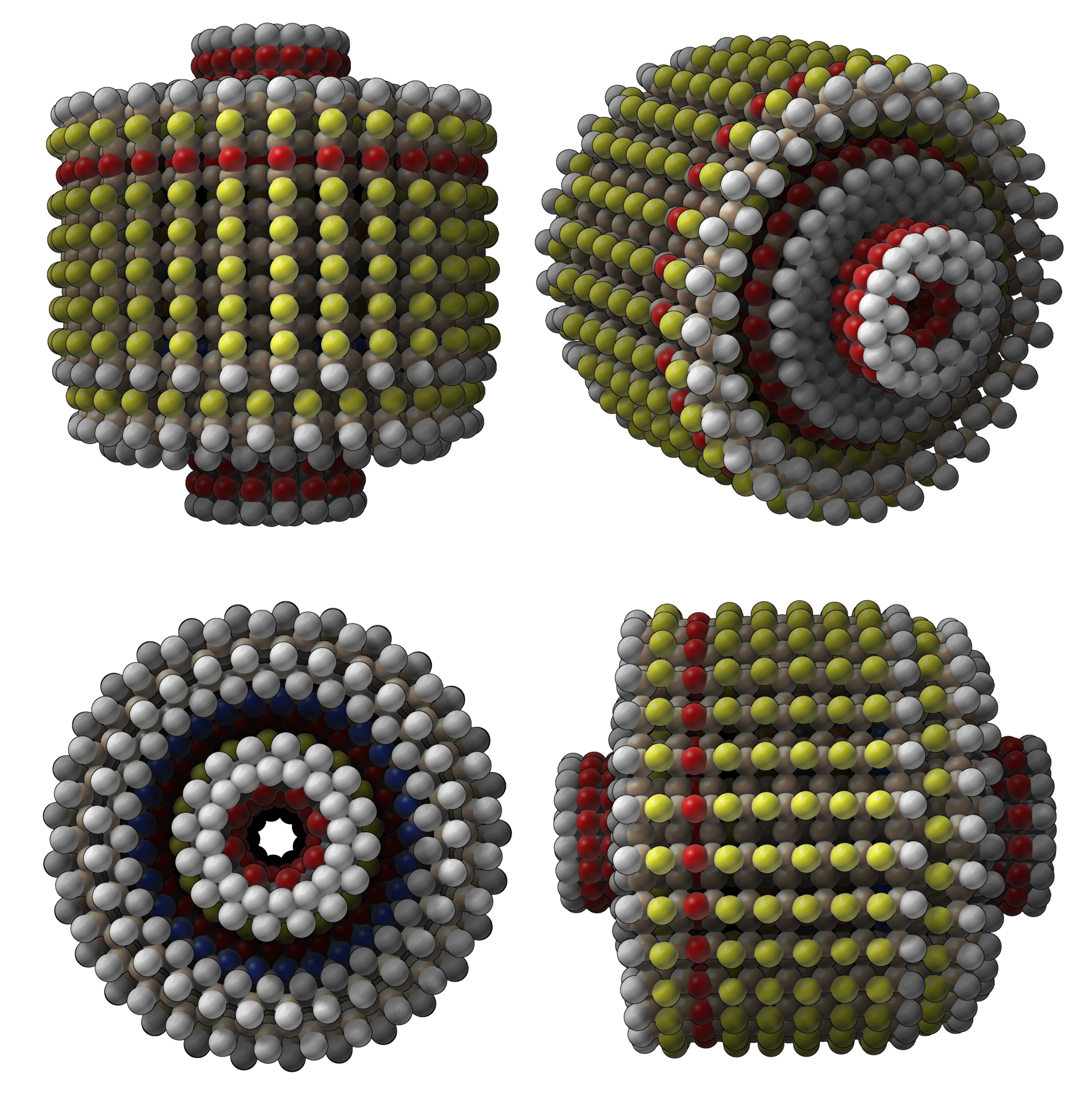 SAMSON gallery image