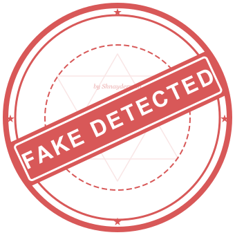 FakeAI gallery image