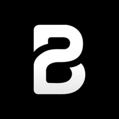 B2Bridge.io