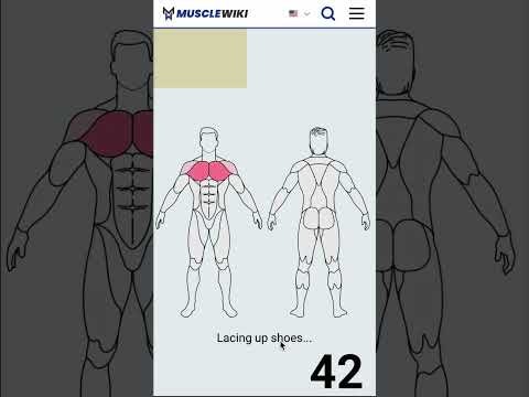 MuscleWiki Ai Workout Generator gallery image