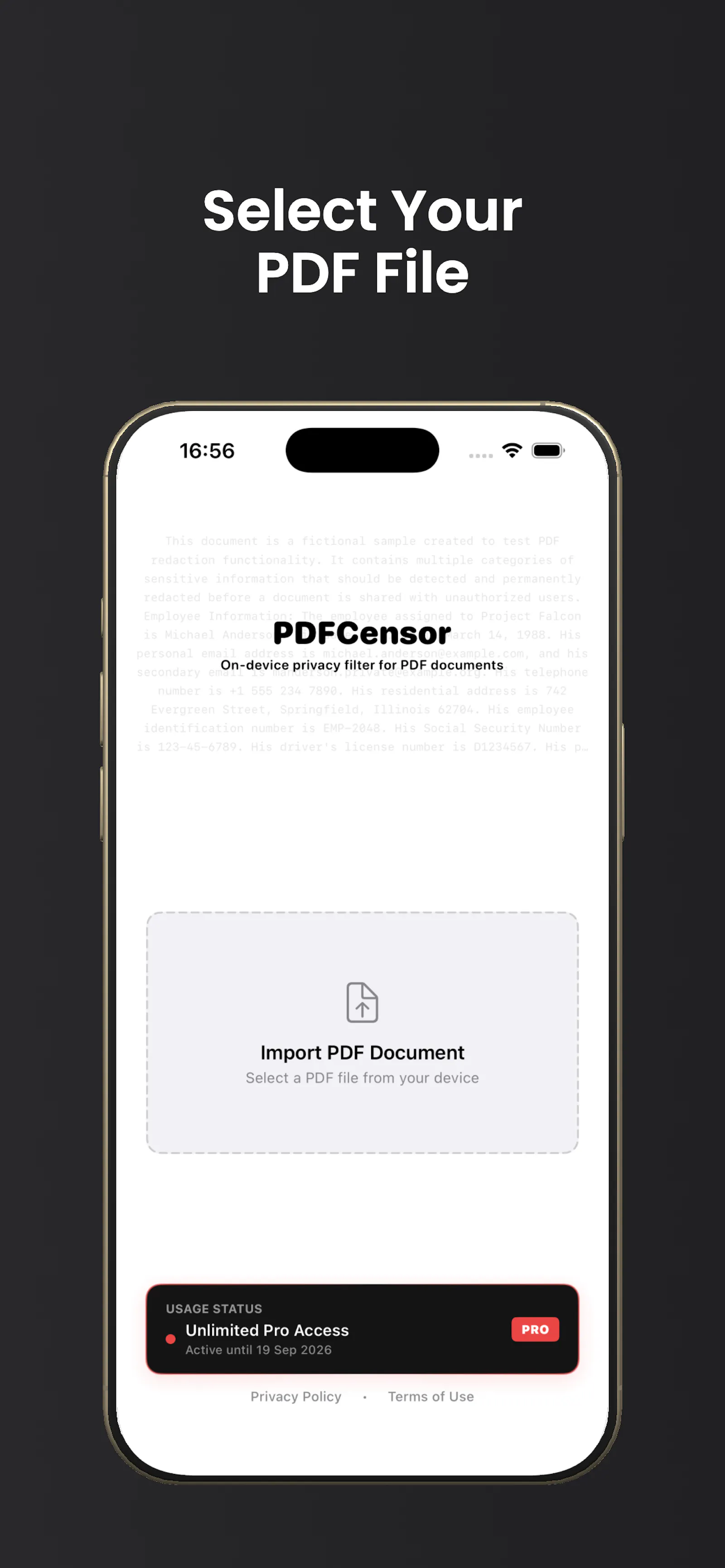 PDFCensor screenshot 2