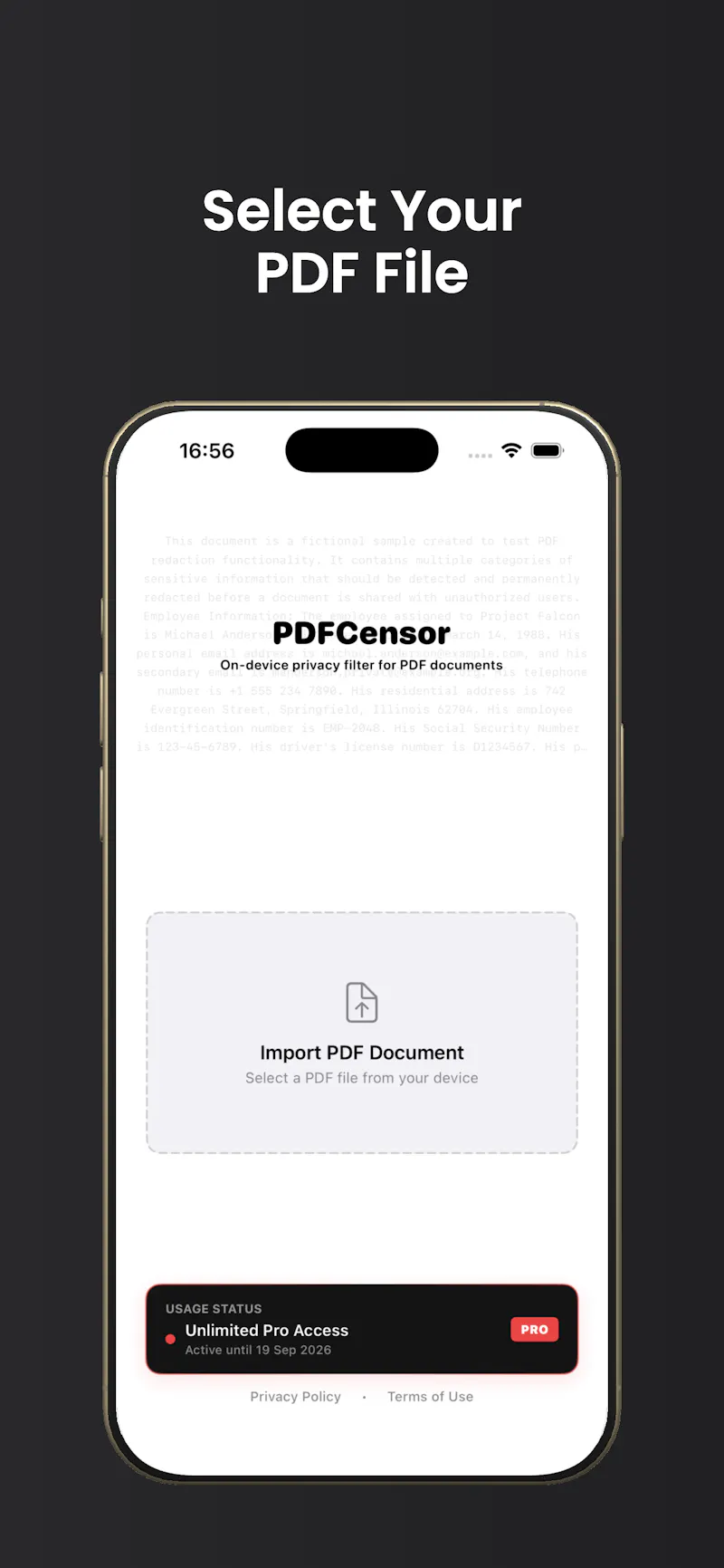 PDFCensor screenshot 2