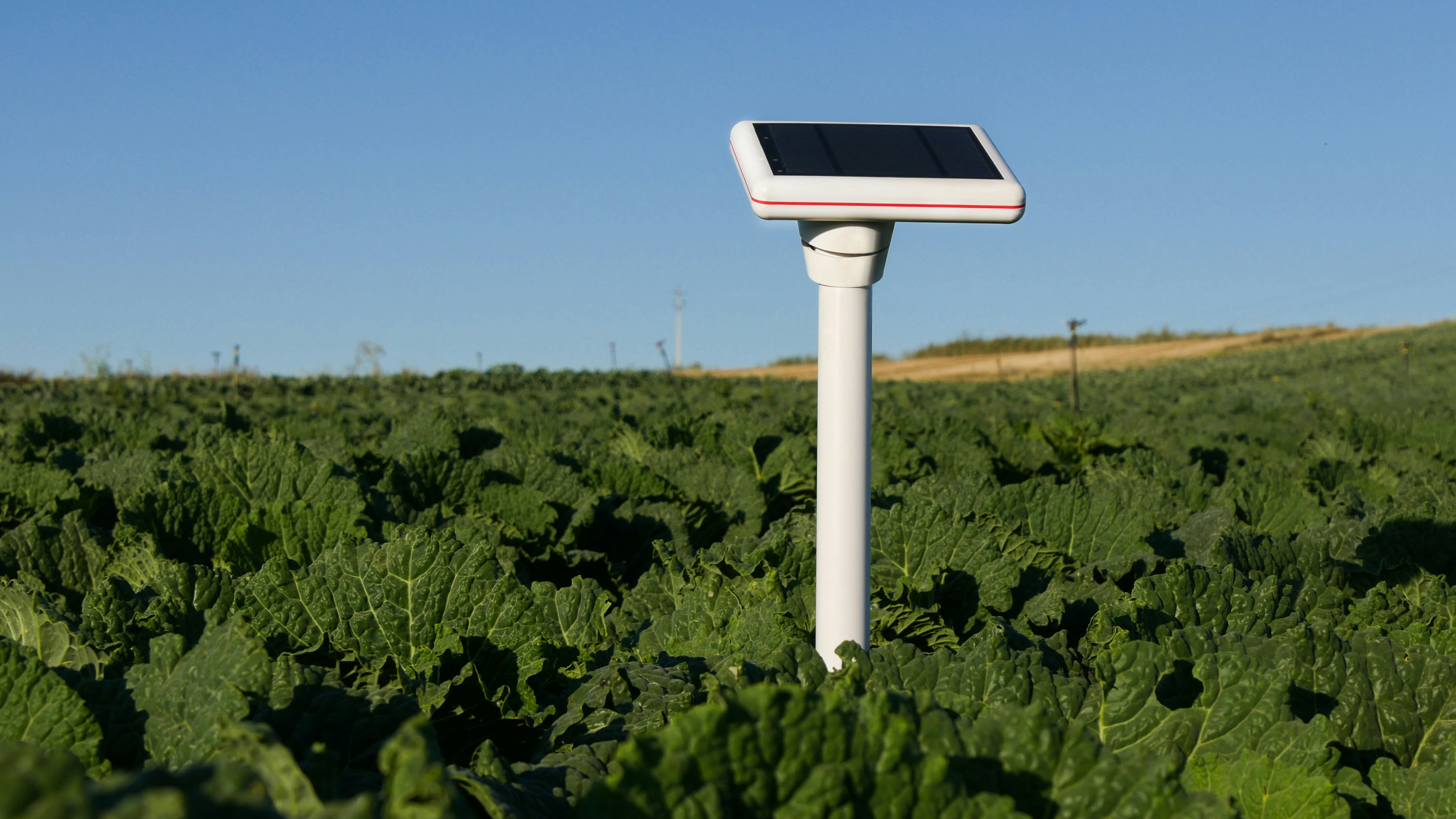 Agroop gallery image